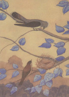 UCCELLO Animale Vintage Cartolina CPSM #PBR453.IT - Oiseaux