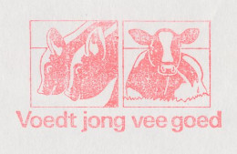 Meter Cover Netherlands 1989 Cow - Calf - Feeds Young Cattle Well - Voorthuizen - Boerderij