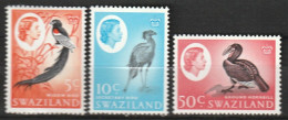 Swaziland 1962, Postfris MNH, Birds - Swaziland (1968-...)