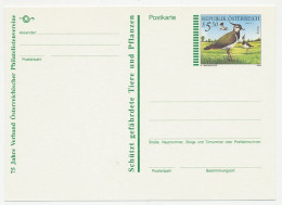 Postal Stationery Austria 1996 Bird - Lapwing - Peewit - Otros & Sin Clasificación
