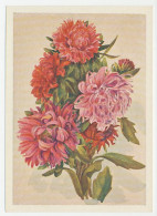 Postal Stationery Soviet Union 1954 Flower - Otros & Sin Clasificación