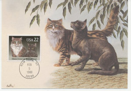 Maximum Card USA 1988 Maine Coon Cat - Burmese Cat - Otros & Sin Clasificación