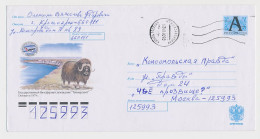 Postal Stationery Rossija 1999 Musk Ox - Other & Unclassified