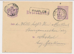 Trein Haltestempel Haarlem 1880 - Storia Postale