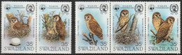 Swaziland 1982, Postfris MNH, Birds, Owls, WWF - Swaziland (1968-...)