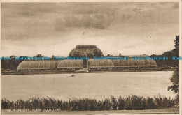 R003652 Palm House. Kew Gardens. W. Strakers. 1928 - Welt