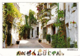 Andalucia - MARBELLA -  - Malaga