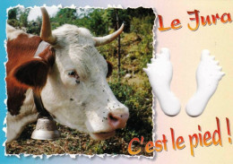 39 - Jura - Le Jura C Est Le Pied - Vache Au Paturage Avec Sa Clarine - Autres & Non Classés