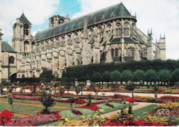 18 - Cher -  BOURGES  - La Cathedrale Saint Etienne - Les Jardins De L évéché - Bourges