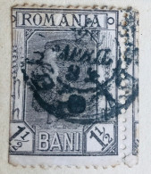 ROUMANIE - King Carol I,1894 - - Used Stamps