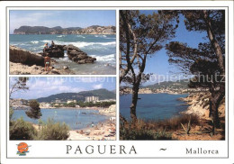 72577440 Paguera Mallorca Islas Baleares Kueste Strand Pinien  - Autres & Non Classés