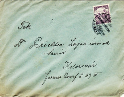 GRAINS HARVESTERS STAMPS ON  COVER/15 FILER 1917,HUNGARY - Lettres & Documents