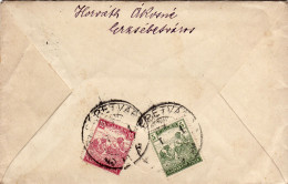 GRAINS HARVESTERS STAMPS ON  COVER /5  AND 10 FILER 1917,HUNGARY - Cartas & Documentos