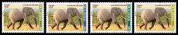 MALI 2024 SET 4V - ELEPHANT ELEPHANTS - INTERNATIONAL DAY BIODIVERSITY - MNH - Elefanten