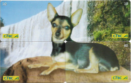 Brazil - CTBC 31 (Inductive) - Pinscher Dog, Puzzle Set Of 4 Cards, 10.2001, 10U, 10.000ex, Used - Brasilien