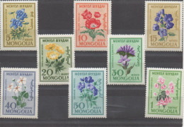 Mongolie Fleurs-Flowers-Bloemen XXX 1960 - Mongolei