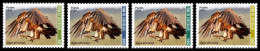 MALI 2024 SET 4V - EAGLE EAGLES VULTURE VULTURES BIRDS OISEAUX AIGLE AIGLES - INTERNATIONAL DAY BIODIVERSITY - MNH - Aigles & Rapaces Diurnes