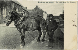 Environs De Liège En Route Pour Les Champs Circulée En 1903 - Lüttich