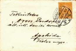 BUDAPESTpostmark TURUL Crown 1904 HUNGARY,TO APAHIDA CLUJ. - Storia Postale