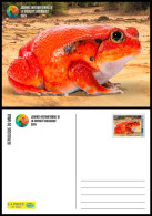 MALI 2024 STATIONERY CARD - FROG FROGS TOADS TOAD GRENOUILLES GRENOUILLE AMPHIBIANS - INTERNATIONAL DAY BIODIVERSITY - Frogs