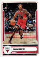 163 Dalen Terry - Chicago Bulls - Panini NBA Basketball 2023-2024 Sticker Vignette - Otros & Sin Clasificación