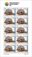 MALI 2024 MS 10V - GIANT TURTLE TURTLES REPTILES TORTUES TORTUE GEANTE - INTERNATIONAL DAY BIODIVERSITY - MNH - Tortues