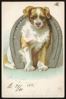 DOG  Vintage Litho Postcard 1898 - Hunde