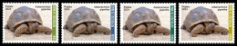 MALI 2024 SET 4V - GIANT TURTLE TURTLES REPTILES TORTUES TORTUE GEANTE - INTERNATIONAL DAY BIODIVERSITY - MNH - Turtles