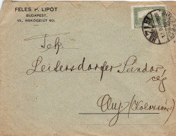POSTAL HISTORY ,JUDAIKA,STAMPS ON ENTERPRISE HEADER COVER, 1923, HUNGARY - Covers & Documents