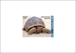 MALI 2024 DELUXE PROOF - GIANT TURTLE TURTLES REPTILES TORTUES TORTUE GEANTE - INTERNATIONAL DAY BIODIVERSITY - Turtles