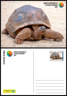 MALI 2024 STATIONERY CARD - GIANT TURTLE TURTLES REPTILES TORTUES TORTUE GEANTE - INTERNATIONAL DAY BIODIVERSITY - Turtles
