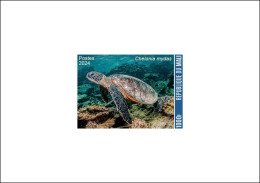 MALI 2024 DELUXE PROOF - GREEN TURTLE TURTLES REPTILES TORTUES TORTUE VERTE - INTERNATIONAL DAY BIODIVERSITY - Schildkröten