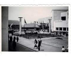 Ref 3 - Photo : Congo , Exposition Universelle De 1935 A Bruxelles - Belgique   . - Europe
