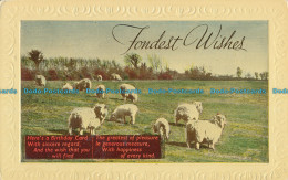 R003694 Greeting Postcard. Fondest Wishes. Sheeps. H. B - Welt