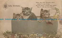 R003699 Greeting Postcard. A Jolly Birthday. Kittens In The Box. Regent. 1918 - Welt