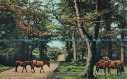 R003132 New Forest Ponies. Valentine. Valesque. 1958 - Monde