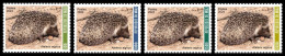 MALI 2024 SET 4V - ALGERIAN HEDGEHOG ALGERIA ATELERIX ALGIRUS HERISSON HERISSONS - INTERNATIONAL DAY BIODIVERSITY - MNH - Sonstige & Ohne Zuordnung