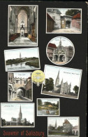 11193909 Salisbury Wiltshire Cathedral Salisbury - Andere & Zonder Classificatie