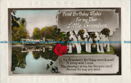 R003766 Greeting Postcard. Fond Birthday Wishes For My Dear Little Grandson. Pup - Monde