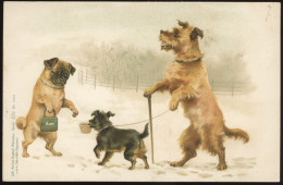 DOG  Vintage Litho Postcard 1898 - Chiens