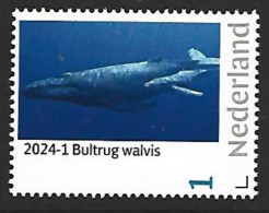 Nederland 2024-1 Natuur Nature  Walvis Humpback Whale      Postfris/mnh/sans Charniere - Unused Stamps
