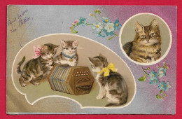 AB867 FANTAISIES ANIMAUX CHAT CHATS ACCORDEON DIATONIQUE  MUSIQUE - Chats
