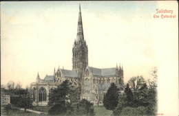 11193637 Salisbury Wiltshire Cathedral Salisbury - Autres & Non Classés