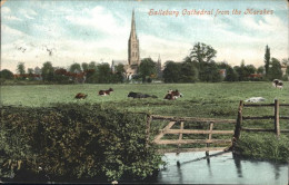 11193633 Salisbury Wiltshire Cathedral Salisbury - Other & Unclassified