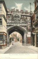 11193579 Salisbury Wiltshire Close Gate Salisbury - Otros & Sin Clasificación