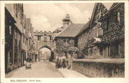 11193557 Salisbury Wiltshire North Gate Salisbury - Other & Unclassified