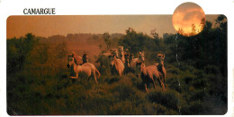 Format Spécial - 210 X 105 Mms - Animaux - Chevaux - Camargue - Chevaux Au Soleil Couchant - Etat Gros Pli Visible - Fra - Horses