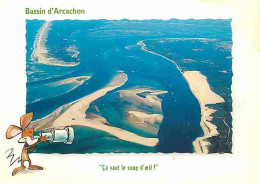 33 - Bassin D'Arcachon - Entrée Du Bassin Le Banc D'Arguin Au Centre à Droite La Dune De Pyla Et à Gauche La Pointe Du C - Autres & Non Classés