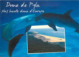 33 - Dune Du Pyla - Vue Aérienne - Dauphins - Bassin D'Arcachon - CPM - Voir Scans Recto-Verso - Autres & Non Classés