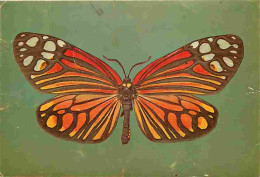 Animaux - Papillons - Tropical Moths - Campylotes Kotzschi - Zygaenidae - CPM - Voir Scans Recto-Verso - Schmetterlinge